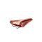 Brooks Team Pro Eroica Limited Edition